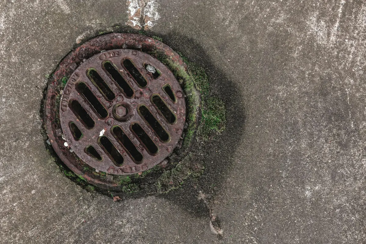 Drain grate texture above a recently scoped sewer lateral